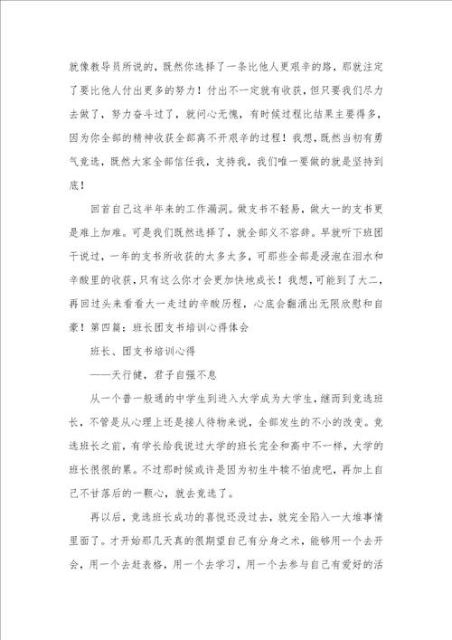 大一团支书的工作体会团支书工作体会精选多篇