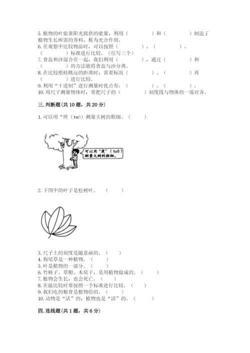 教科版一年级上册科学期末测试卷【精华版】.docx