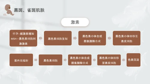 高级灰和棕色简约实拍风美容护肤美容知识培训PPT