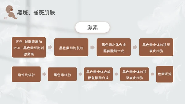 高级灰和棕色简约实拍风美容护肤美容知识培训PPT