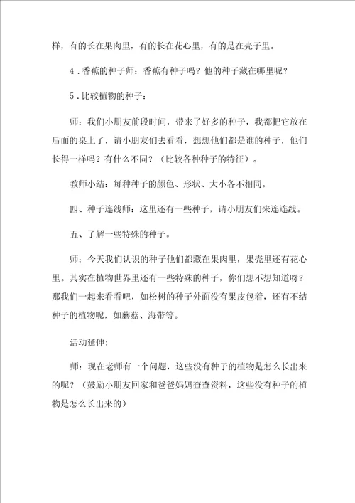 2021年种子藏在哪里教案
