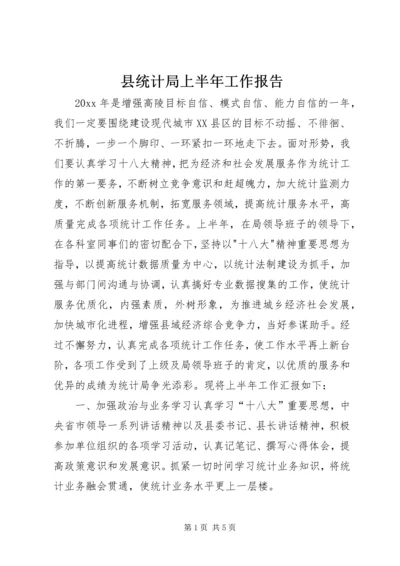 县统计局上半年工作报告.docx