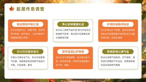 橙墨绿色3D秋分节气知识PPT模板