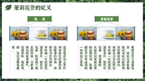 墨绿色中国风小清新茉莉花茶介绍PPT模板