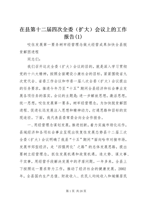 在县第十二届四次全委（扩大）会议上的工作报告(1).docx