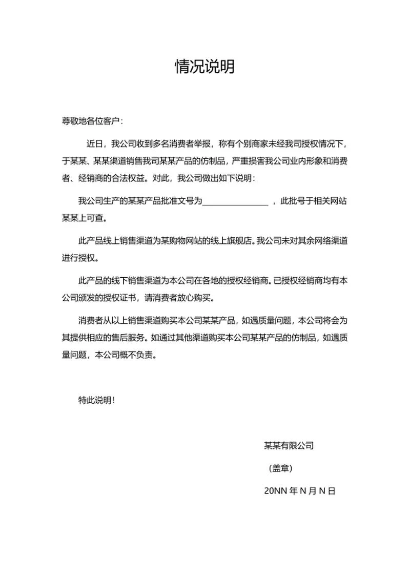 企业产品情况说明word模板