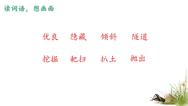 11 蟋蟀的住宅（课件）
