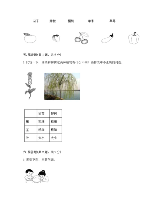 教科版科学一年级上册第一单元《植物》测试卷含答案（模拟题）.docx