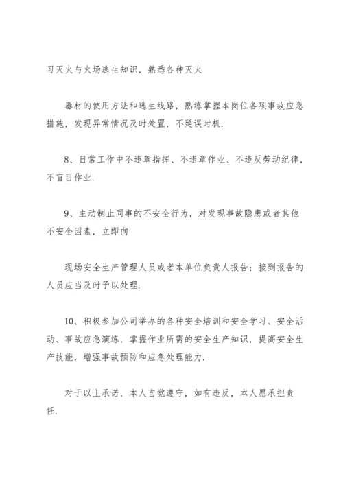 有关安全责任承诺书范文锦集10篇.docx