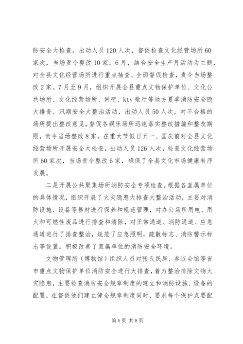 文广局XX年安全生产工作总结及XX年安全工作计划.docx