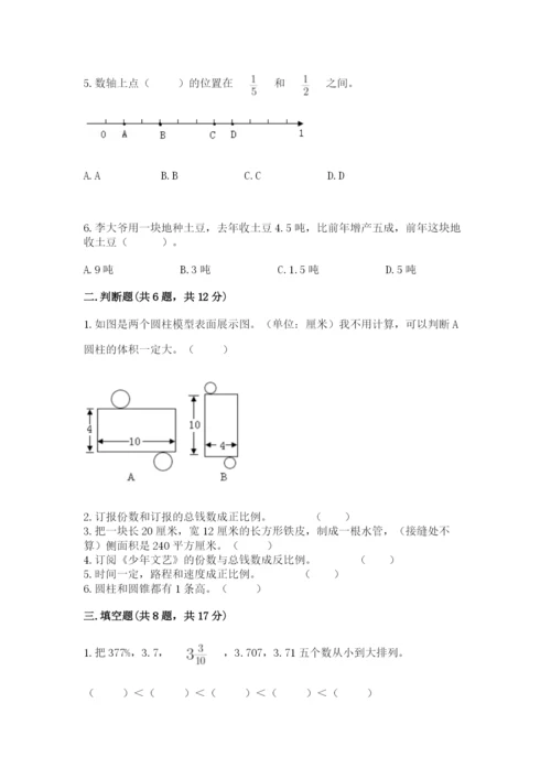 巢湖市小升初数学测试卷汇编.docx