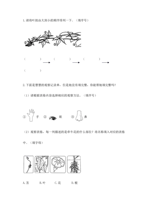 教科版一年级上册科学期末测试卷附完整答案【全国通用】.docx