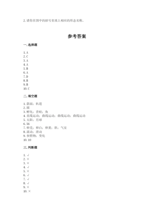 教科版小学科学三年级下册期末测试卷（预热题）.docx