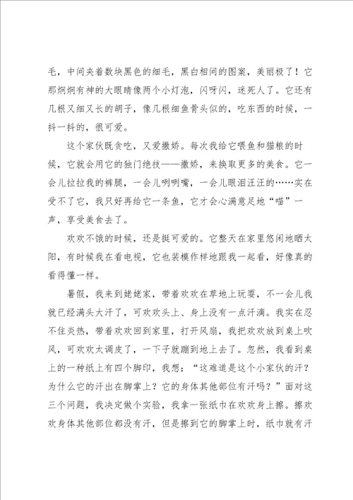 关于三年级的发现作文3篇