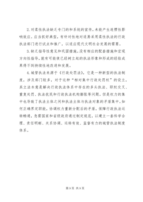 城管执法局执法工作调研报告精编.docx