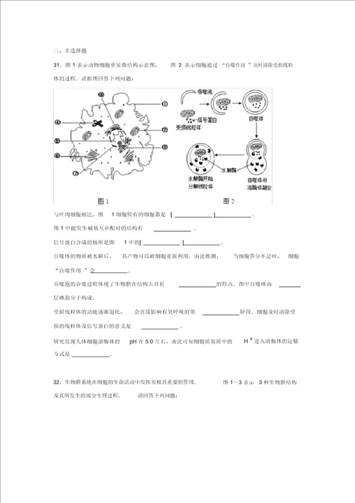 北京市首都师范大学附属房山中学2016届高三上学期期中生物试卷Word版含解析