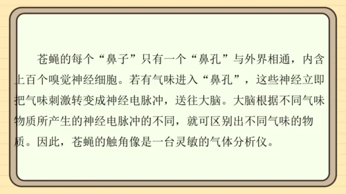 统编版语文四年级上册主题八　科技展望 阅读与写作指导课件