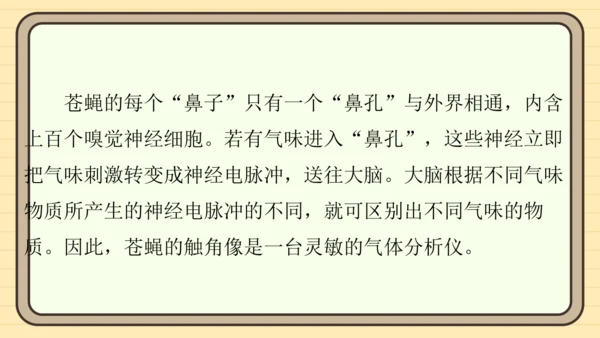 统编版语文四年级上册主题八　科技展望 阅读与写作指导课件