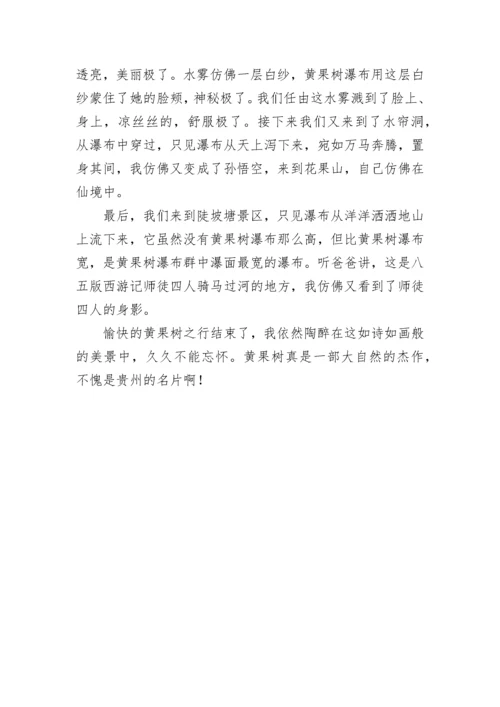 黄果树瀑布作文800字.docx