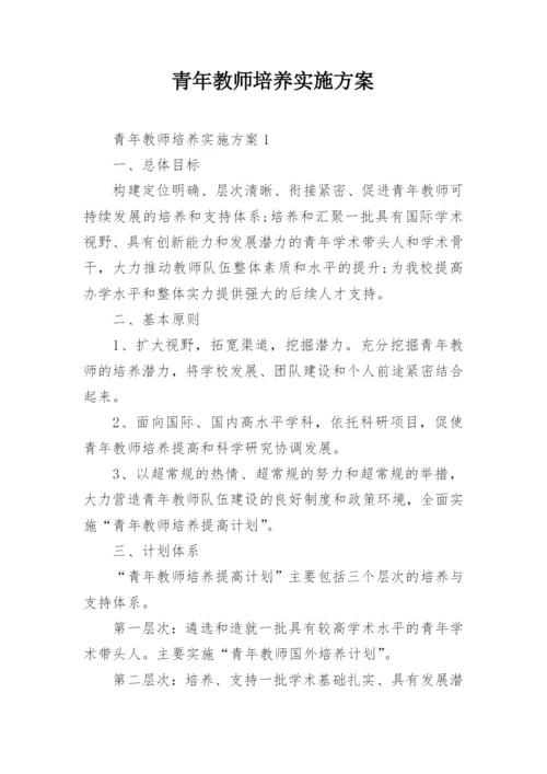 青年教师培养实施方案_1.docx