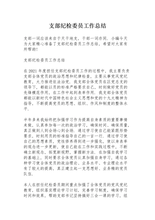 支部纪检委员工作总结.docx