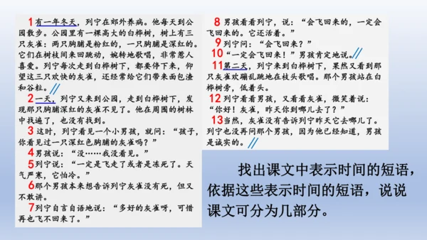 【同步课件】部编版语文三年级上册  25.灰雀（2课时）