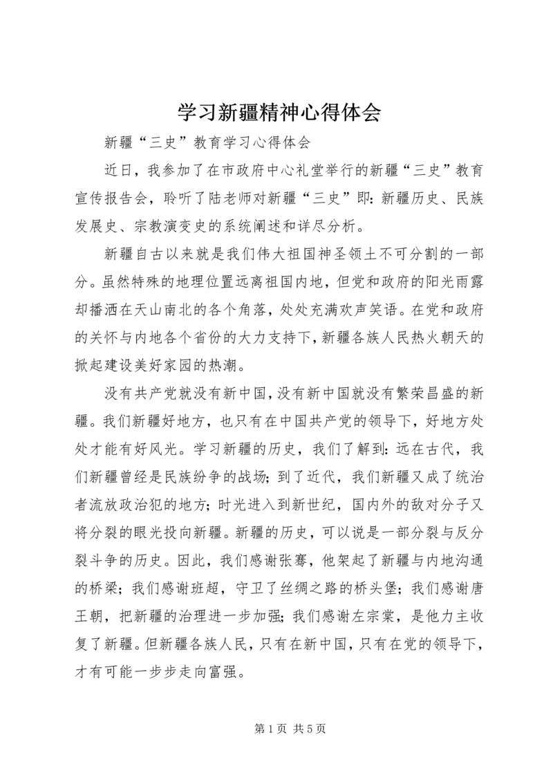 学习新疆精神心得体会.docx