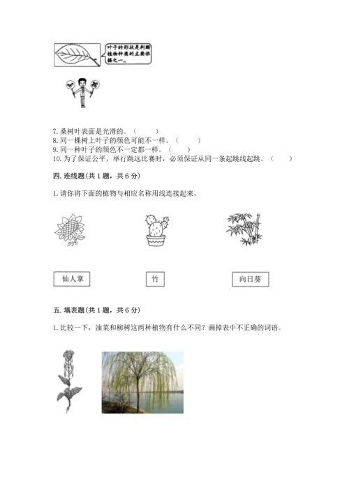 教科版一年级上册科学期末测试卷带答案（培优b卷）.docx