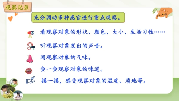 统编版2024-2025学年语文四年级上册第三单元习作 观察日记-（教学课件）