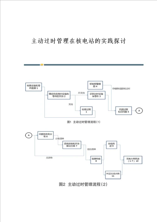 主动过时管理在核电站的实践探讨