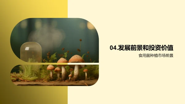 食用菌产业：未来与挑战