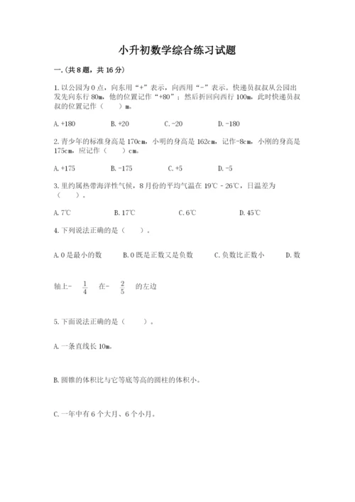 小升初数学综合练习试题（必刷）.docx