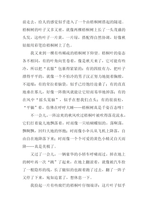 写秋天梧桐树的作文.docx