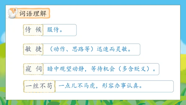 【核心素养】部编版语文四年级下册-15.白鹅 第1课时（课件）