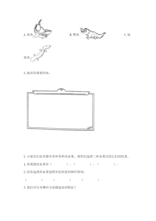 教科版小学科学一年级下册期末测试卷（名师推荐）.docx