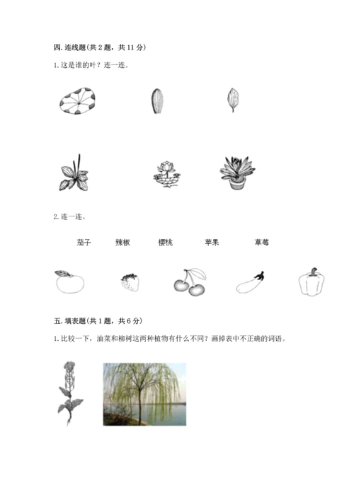 教科版科学一年级上册第一单元《植物》测试卷及完整答案【有一套】.docx