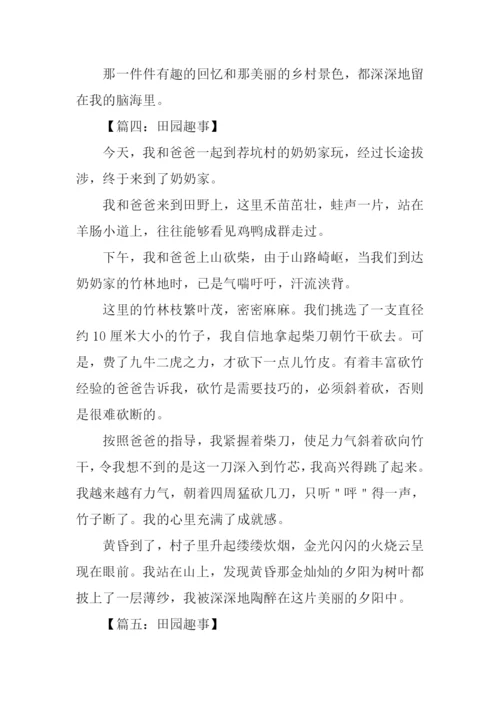 田园趣事作文.docx
