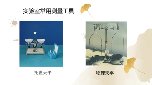 6.1质量（课件）(共29张PPT) -2023-2024学年八年级物理上册同步精品课堂（人教版）