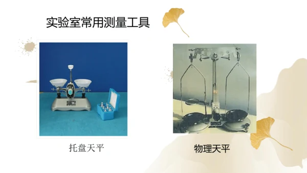 6.1质量（课件）(共29张PPT) -2023-2024学年八年级物理上册同步精品课堂（人教版）