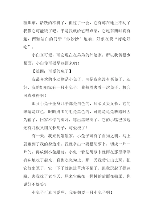 可爱的兔子作文300字.docx