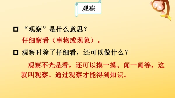 3 植物妈妈有办法  课件