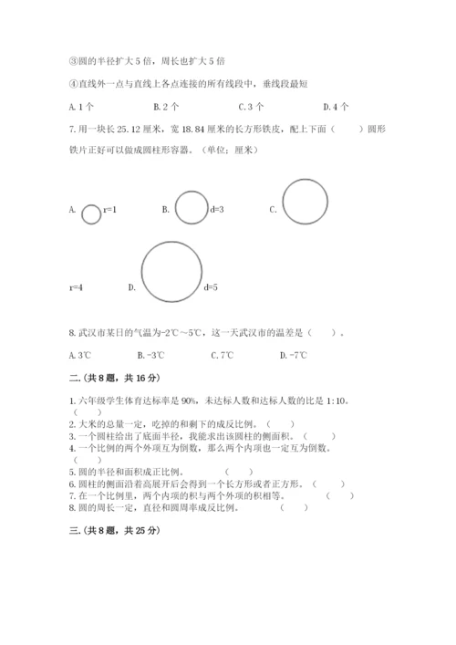 人教版六年级数学下学期期末测试题及完整答案（夺冠）.docx