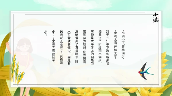 食粮丰收麦穗小满PPT模板
