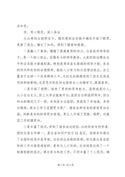 县政府副县长挂职工作汇报.docx