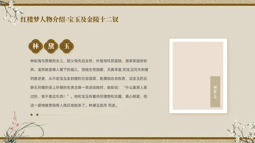 褐色复古中国风中国四大名著之红楼梦人物介绍PPT