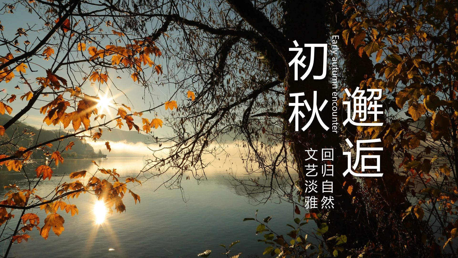 简约相册初秋邂逅文艺淡雅回归自然PPT模板宣传PPT动态秋天