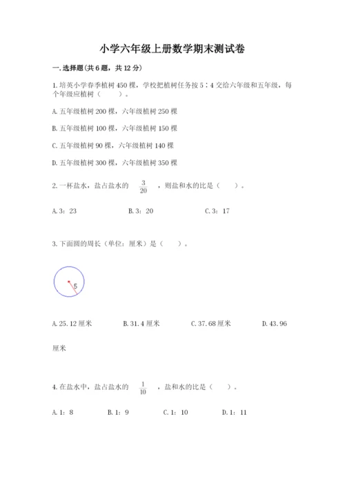 小学六年级上册数学期末测试卷附完整答案【网校专用】.docx