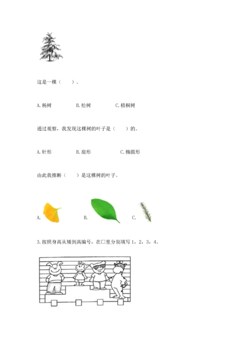 教科版一年级上册科学期末测试卷1套.docx