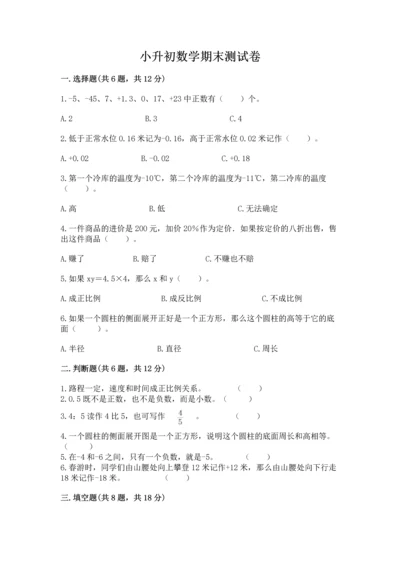 小升初数学期末测试卷【实用】.docx