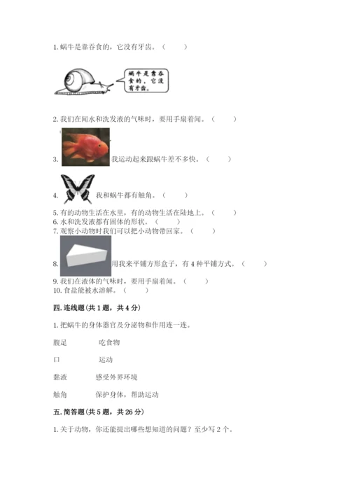 教科版一年级下册科学期末测试卷精品【b卷】.docx